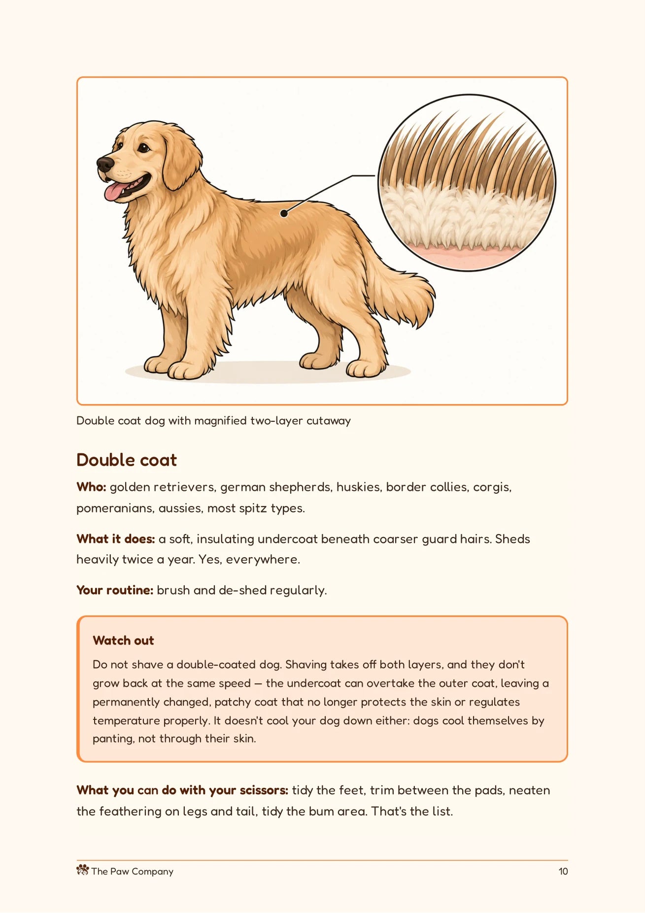 The Home Groomer's Handbook preview page 10